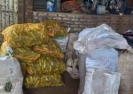 UMKM Hasil Bumi Soroti Program MBG, 26 Dapur Dinilai Belum Serap Produk Petani Lokal