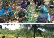 Tradisi Mitemeyan, Wujud Syukur Petani Sunda Menjelang Panen