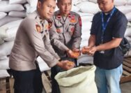 Kolaborasi Polres Garut dan Petani, Bulog Serap 15,25 Ton Jagung