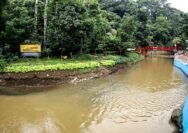 Banjir Bandung Dipicu Sampah, 300 Kubik Diangkut