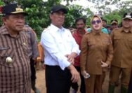 Mentan salurkan sejumlah bantuan atasi sawah terendam banjir di Sultra