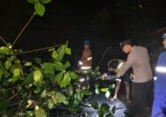 Aksi Sigap Polsek Limbangan Saat Pohon tumbang Diterjang Cuaca Ekstrem