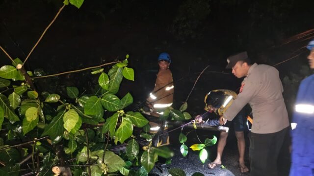 Aksi Sigap Polsek Limbangan Saat Pohon tumbang Diterjang Cuaca Ekstrem