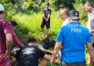BMSN Apresiasi Bantuan Hewan Kurban dari Bupati Bogor Rudy Susmanto
