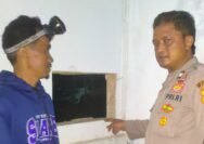 Dari Aksi Curi HP hingga Curanmor, Pria di Cibalong Diamankan Polisi.