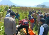 Polisi Periksa Penemuan Lansia Meninggal di Kebun Jagung, Tak Ada Indikasi Kekerasan
