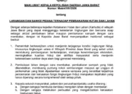 Antisipasi Karhutla, Kapolda Jabar Ingatkan Masyarakat Stop Membakar Hutan dan Lahan