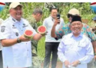 Pemanfaatan Lahan Tanam Yang Keliru